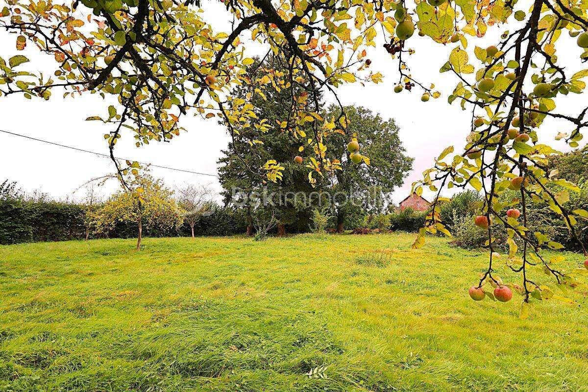 Abancourt - grand terrain à bâtir  2258 m² - plat et arboré - photo 2