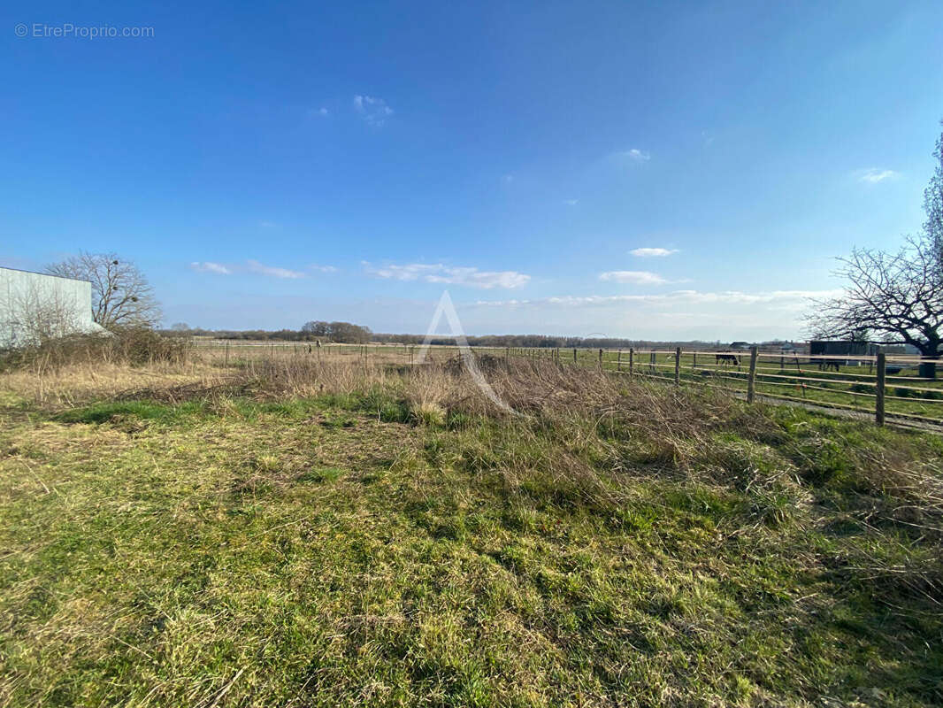 Terrain à MONT-PRES-CHAMBORD