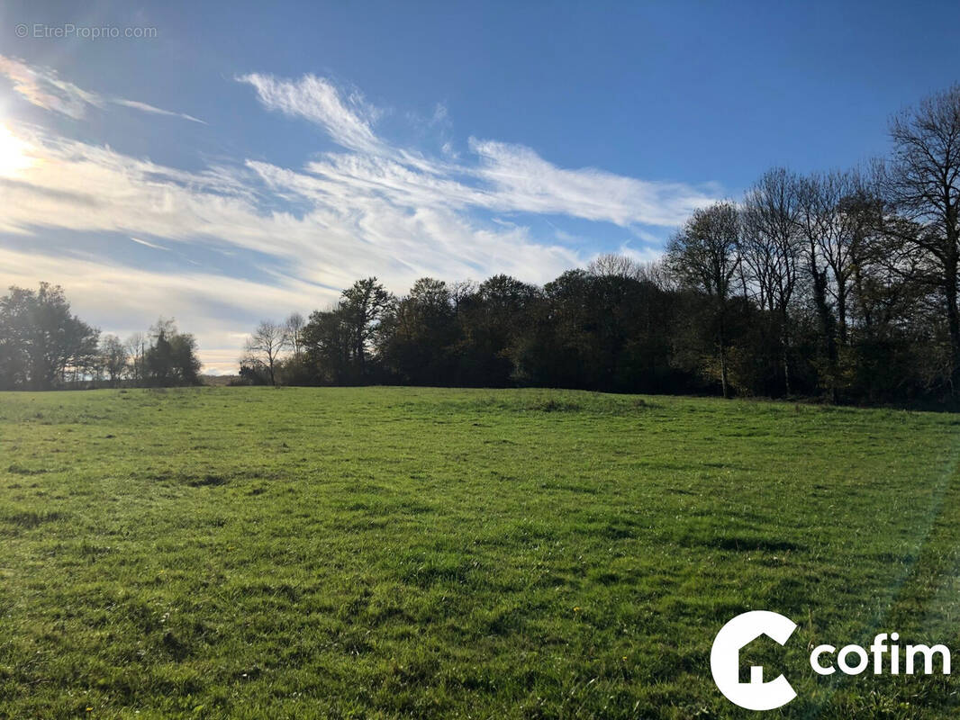 Terrain à SOUMOULOU