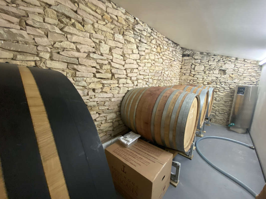 Domaine viticole confidentiel sur trois Crus de la Vallée du Rhône méridionale - photo 3