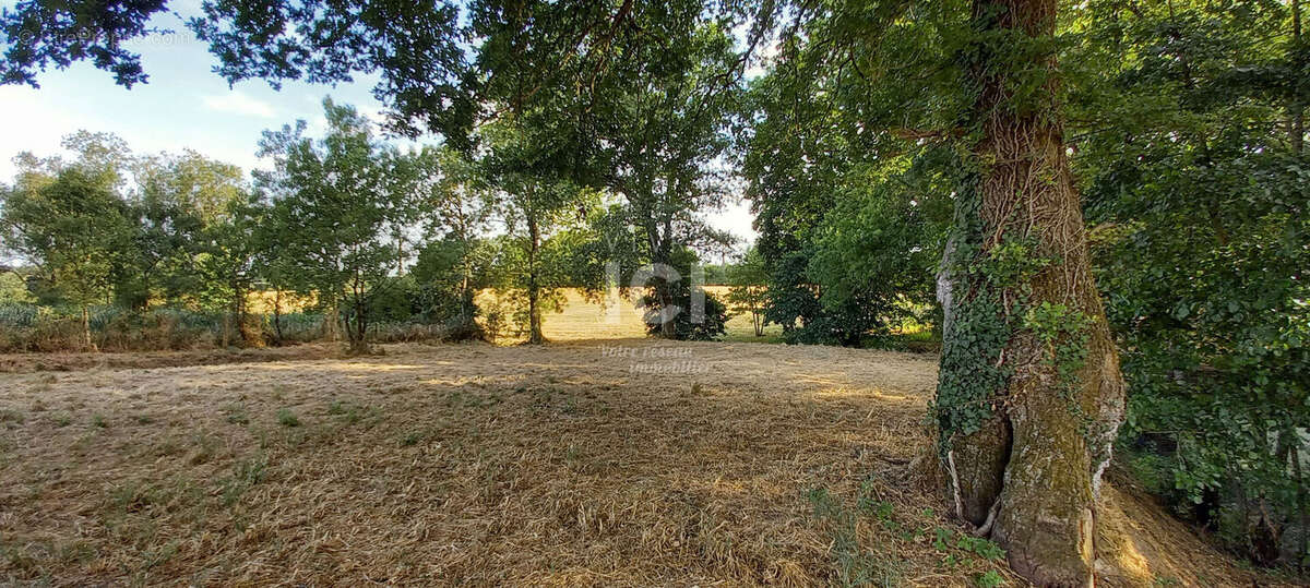 Nouveauté chez Vivre ICI - Frossay Immobilier - photo 5