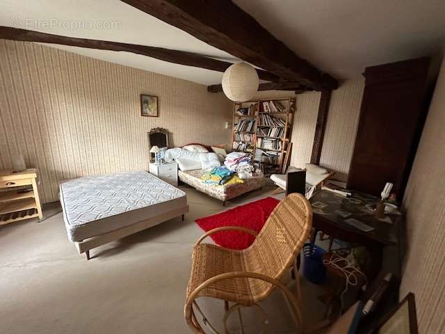 Propriété 200 m² sur 8647 m² - photo 12