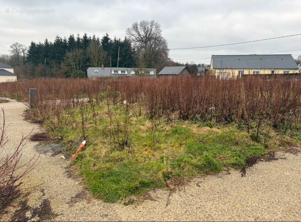 Terrain à BARENTIN