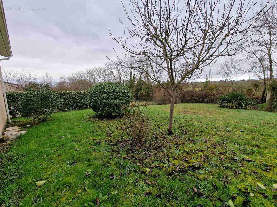 Maison à SAINT-MARTIN-LACAUSSADE