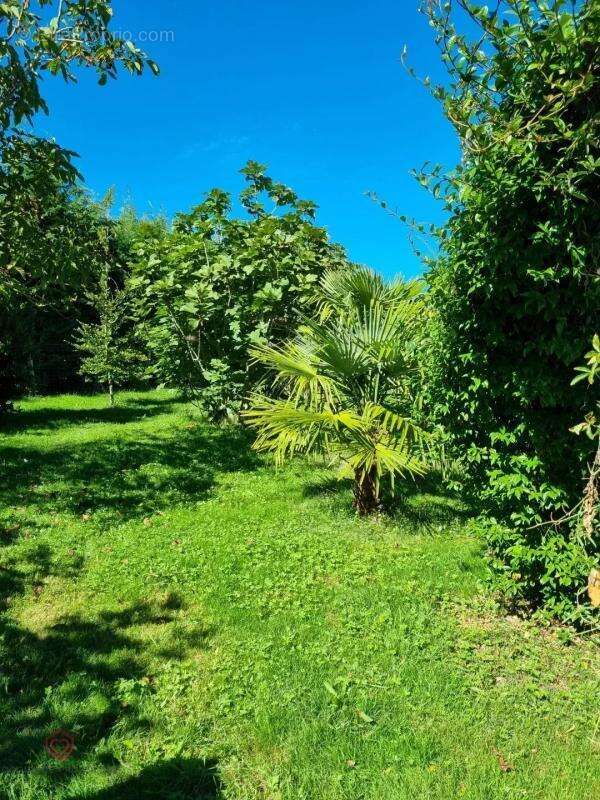 Maison à CASTELNAU-MAGNOAC