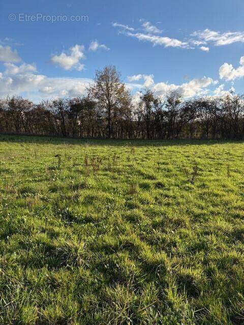 Terrain à BRISSARTHE