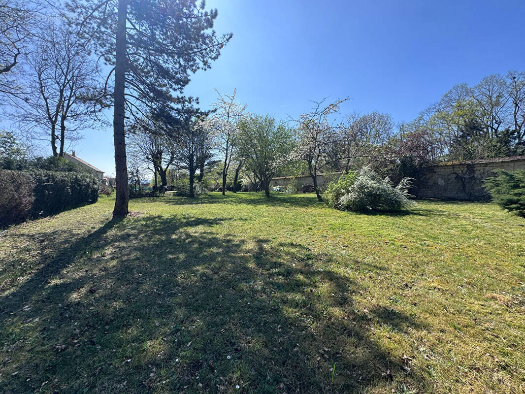 Terrain à LE MESNIL-LE-ROI