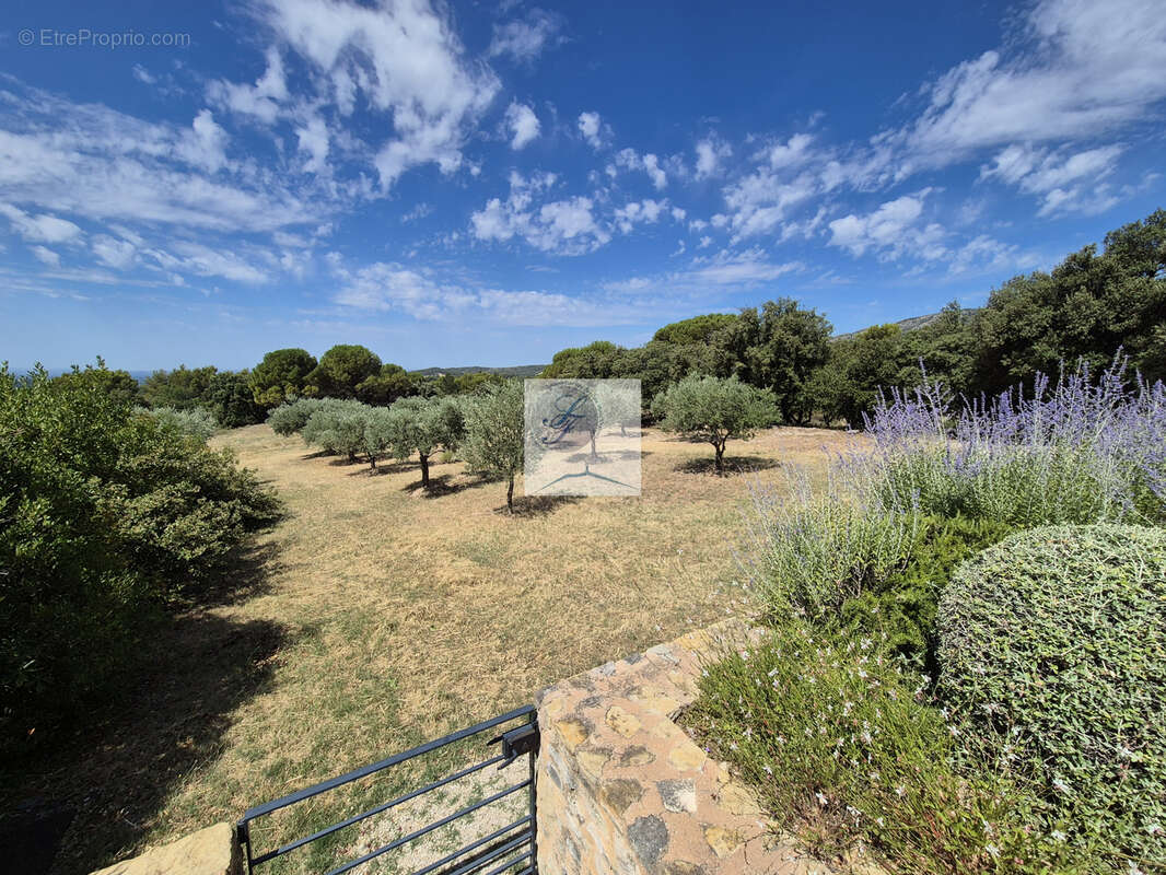 Bedoin, Mas 175m2 - 5 pièces -Terrain 3700m2, piscine - Vue exceptionnelle ! - photo 5
