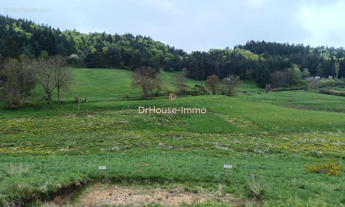 Terrain à LAFARRE