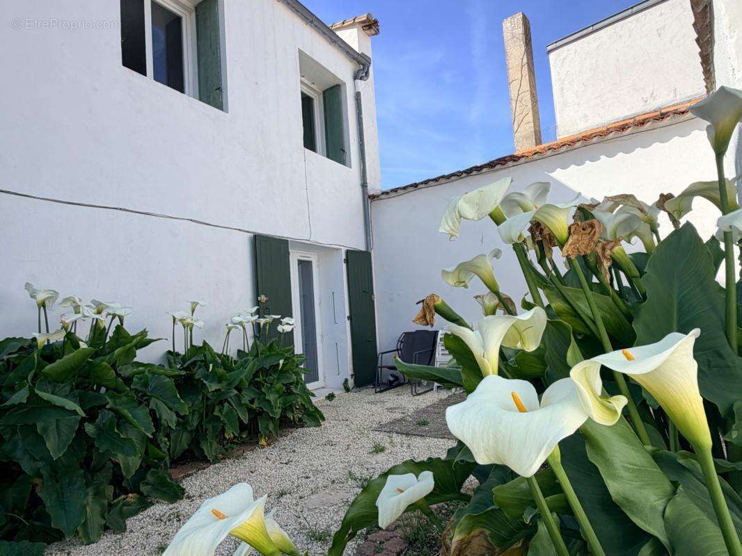 Appartement lumineux  Plein Centre - 3 pièces  au premier étage au  Bois-Plage-en-Ré  - RARE - photo 9