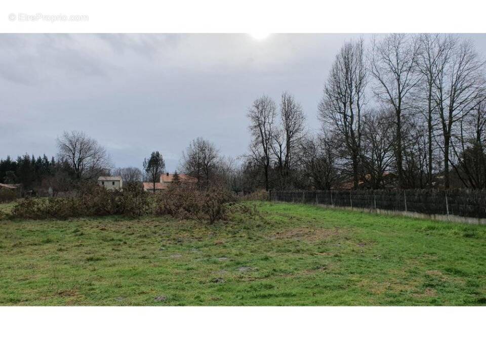 Terrain à SAINT-MEDARD-EN-JALLES