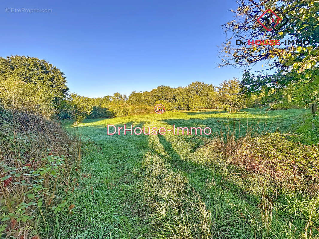Terrain à SAVIGNAC-LES-EGLISES