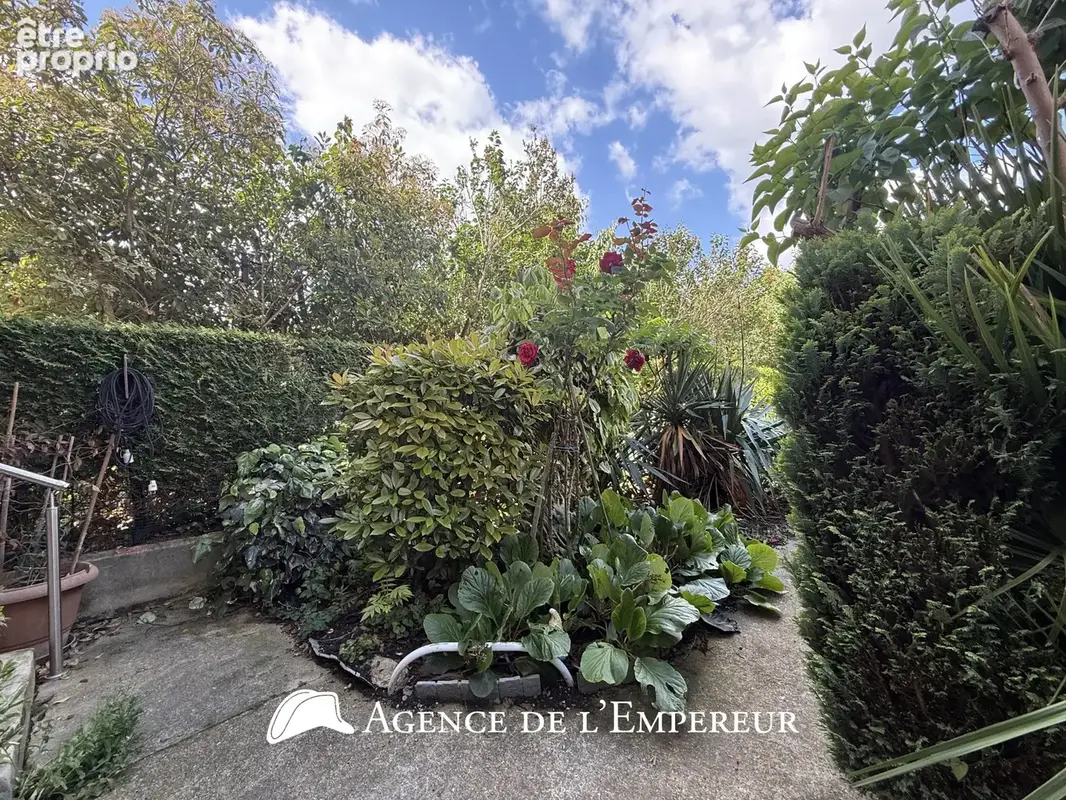 Rueil hippodrome - photo 15