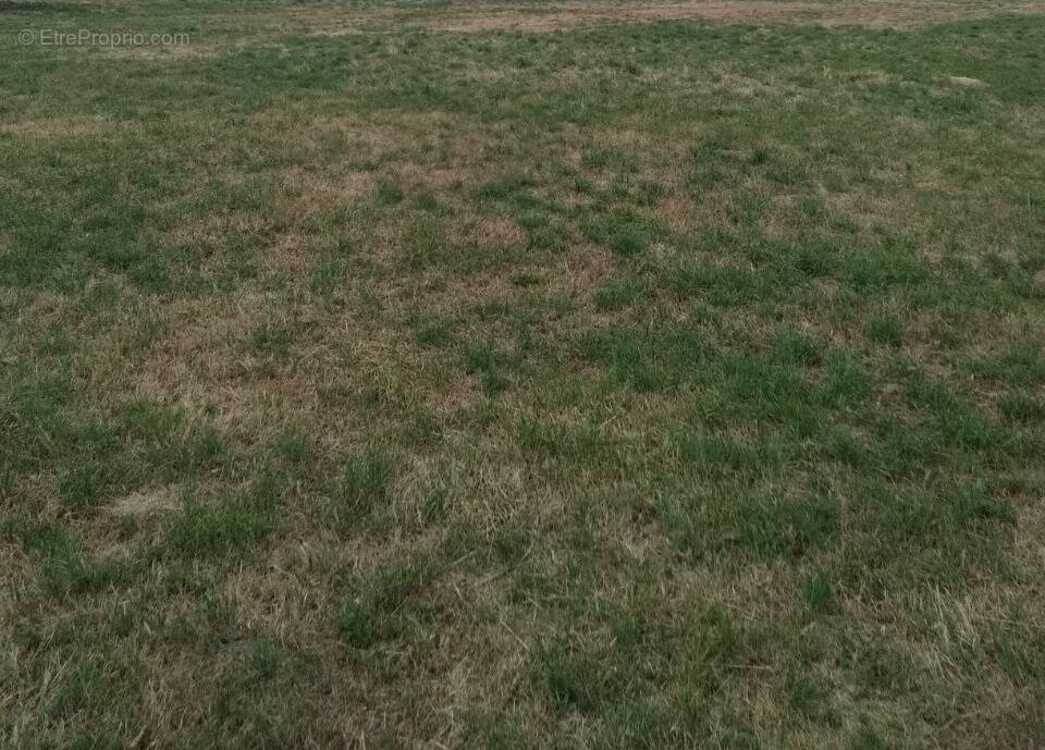 Terrain à MONTILLY-SUR-NOIREAU