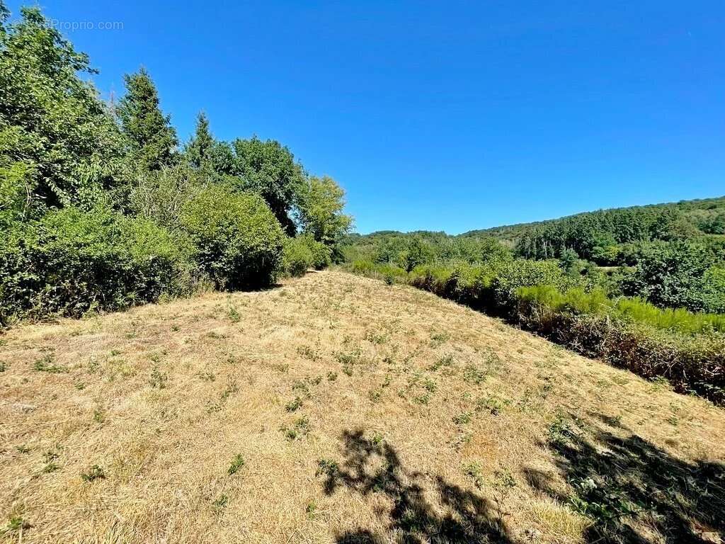Exclusivité - Bourgogne – Parc du Morvan – Secteur Alligny-en-Morvan-maison de campagne d'environ 132 m², implantée sur plus de  - photo 17