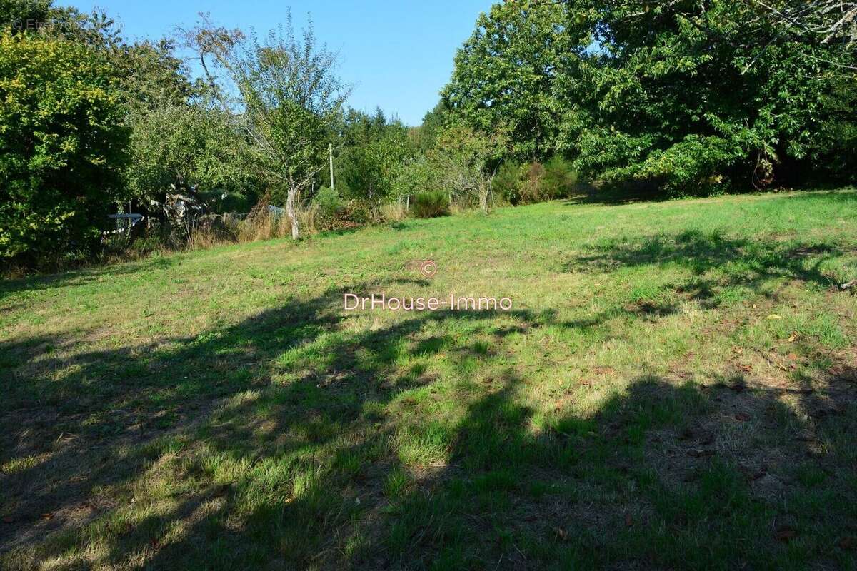 Terrain à BUSSIERE-GALANT