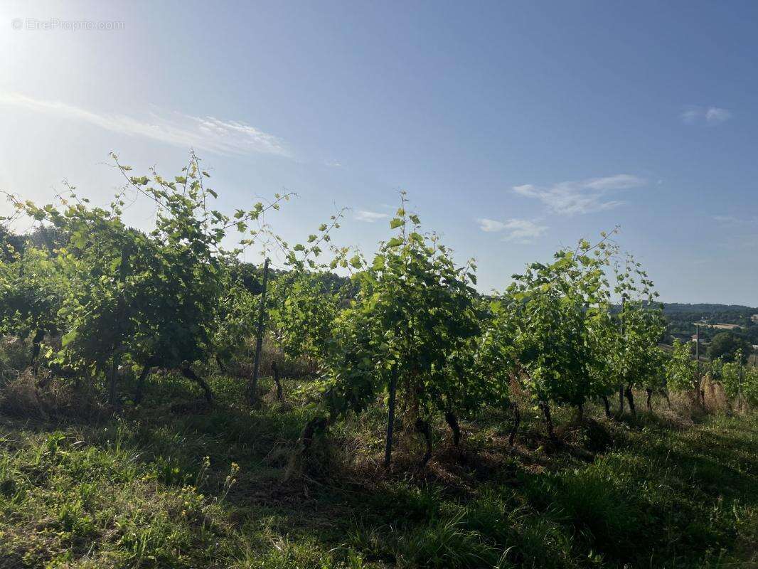 Maison à PUY-D'ARNAC
