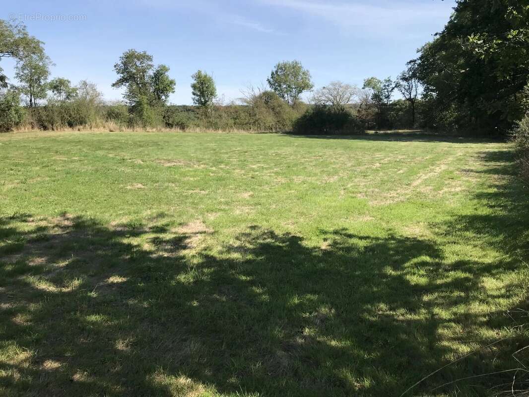 Maison à SAINT-MARTIN-LE-MAULT