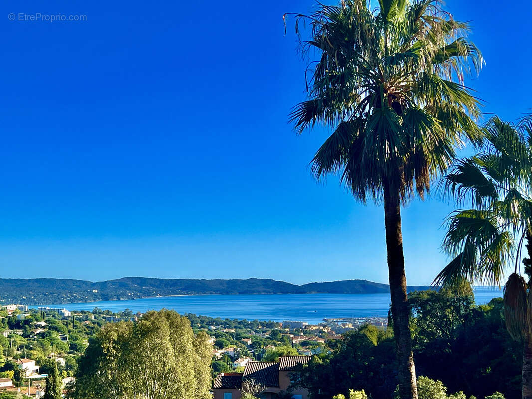 Demeure d’Exception au Cœur de la Côte d’Azur - photo 2