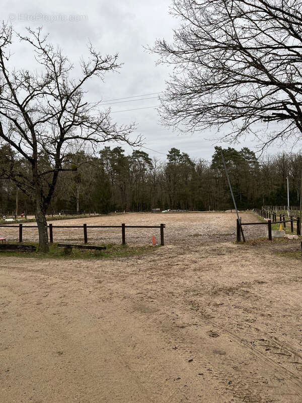 Maison à LIGNY-LE-RIBAULT
