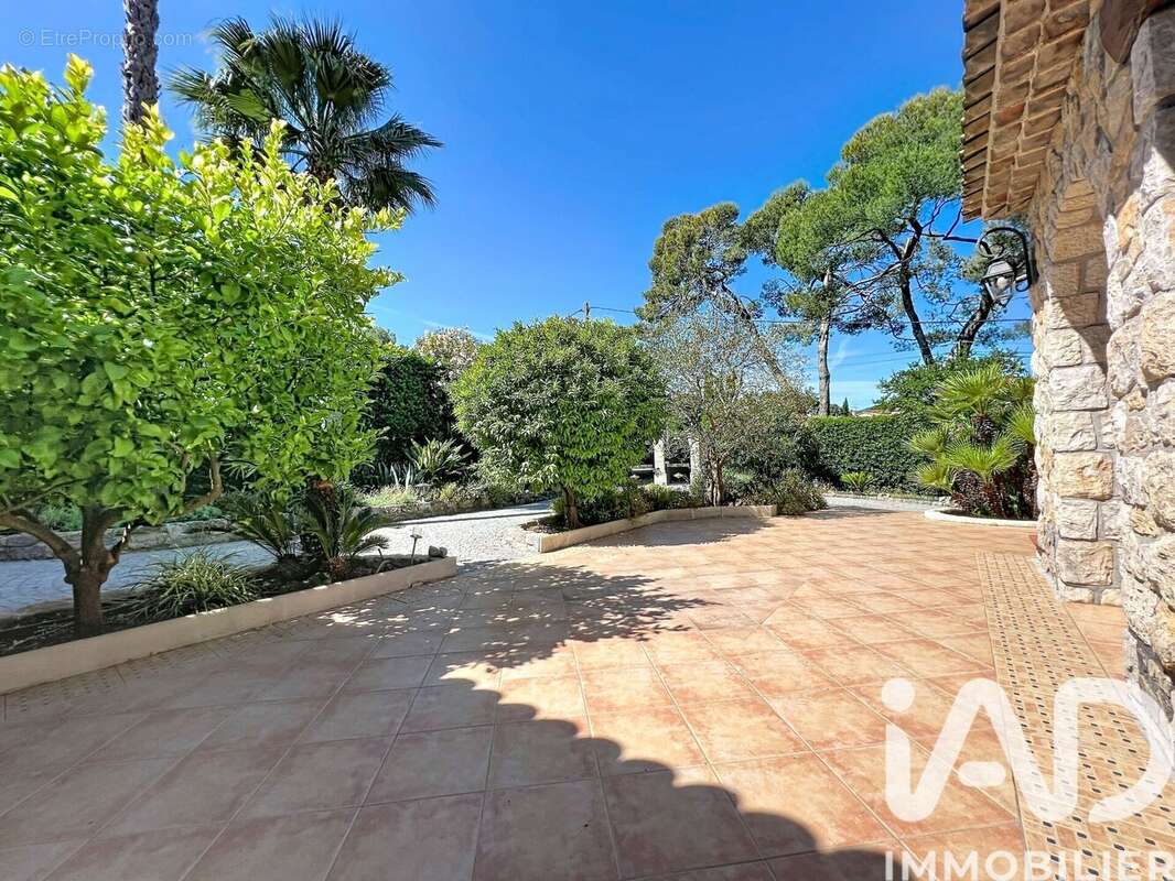 Maison 204 m² à Mougins  - photo 6