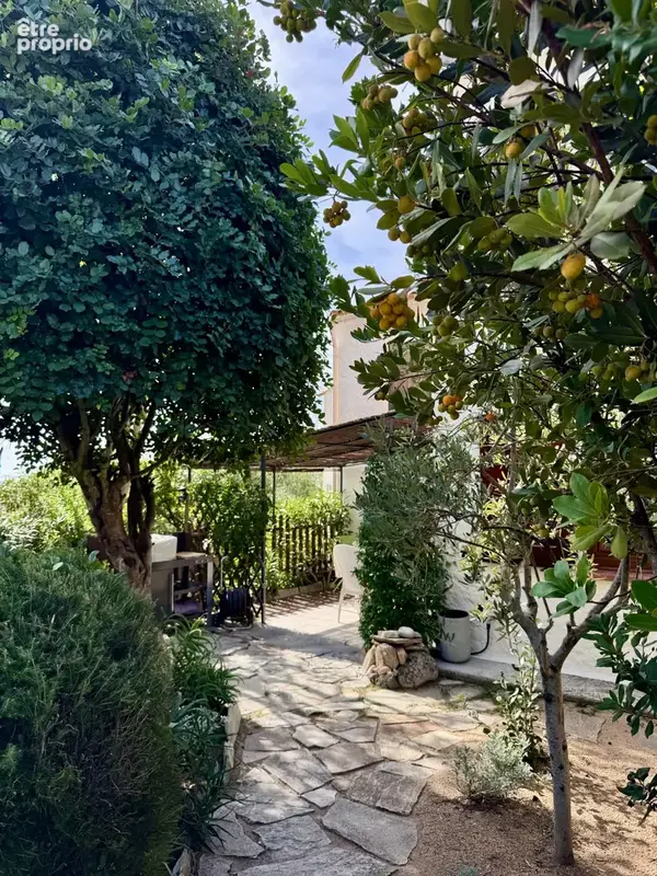 Maison T3 vue mer - Les Hameaux de Sampiero - photo 43