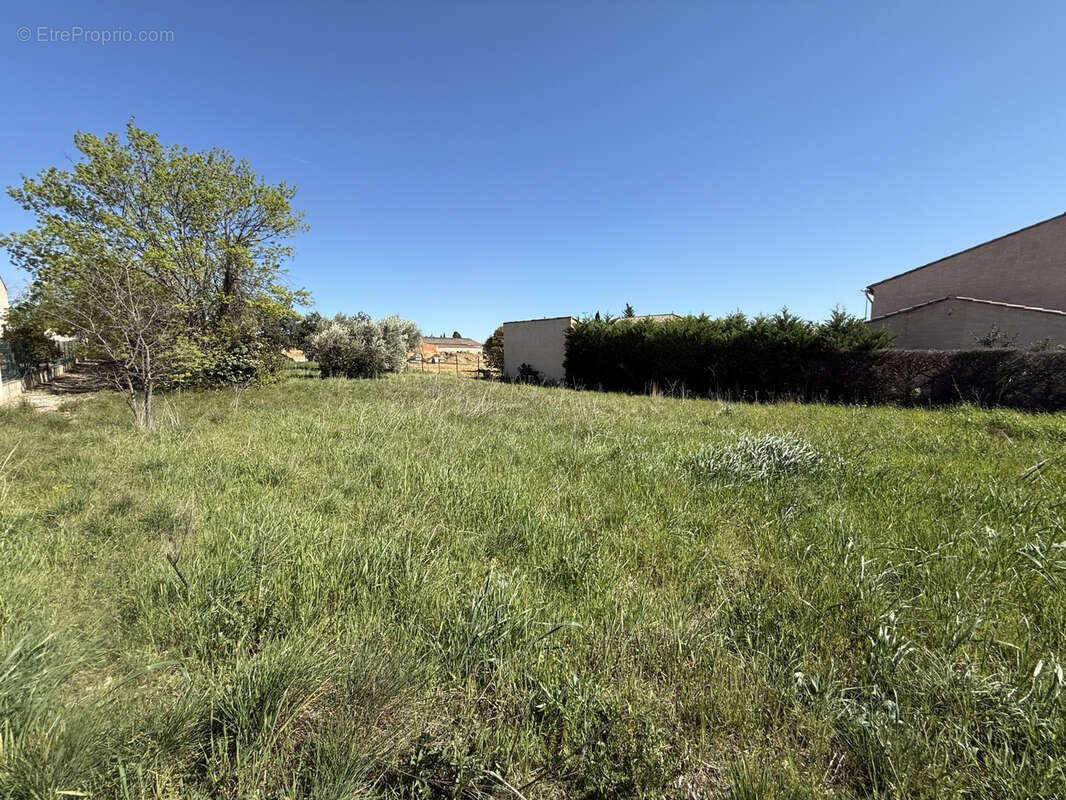 Terrain à MONTPEYROUX