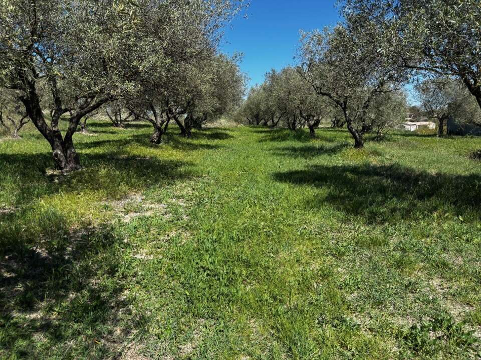 Terrain à VAGNAS