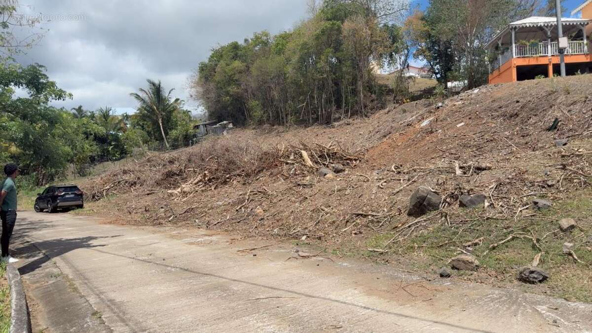Terrain Riviere Salee 1212 m2 - photo 4