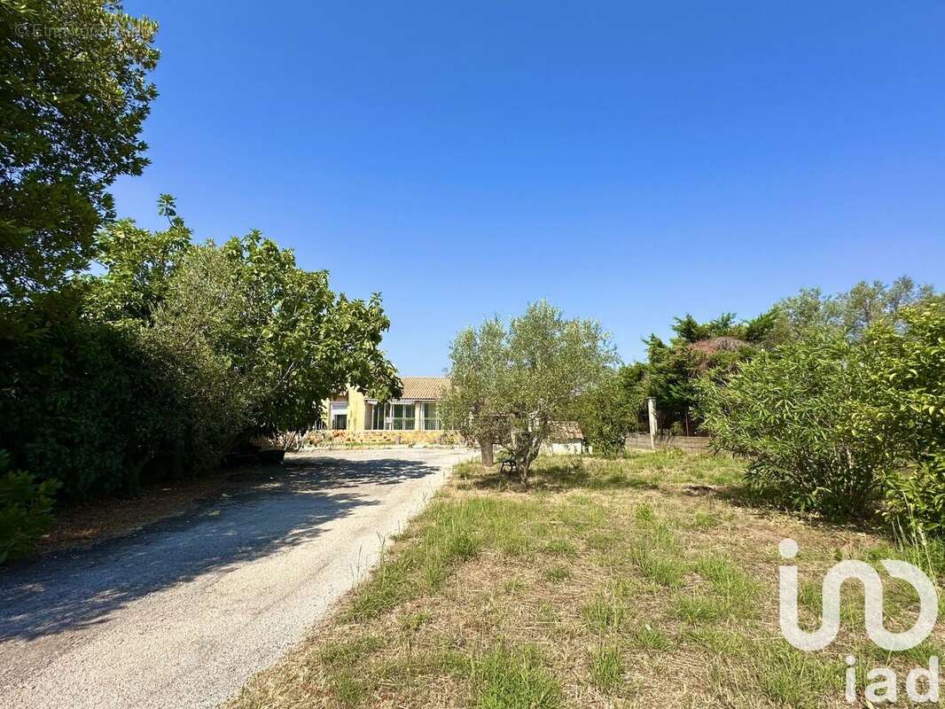 Photo 2 - Maison à SAINT-GILLES