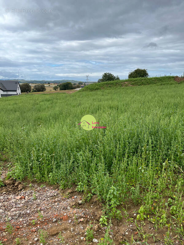 Terrain à SCHNERSHEIM