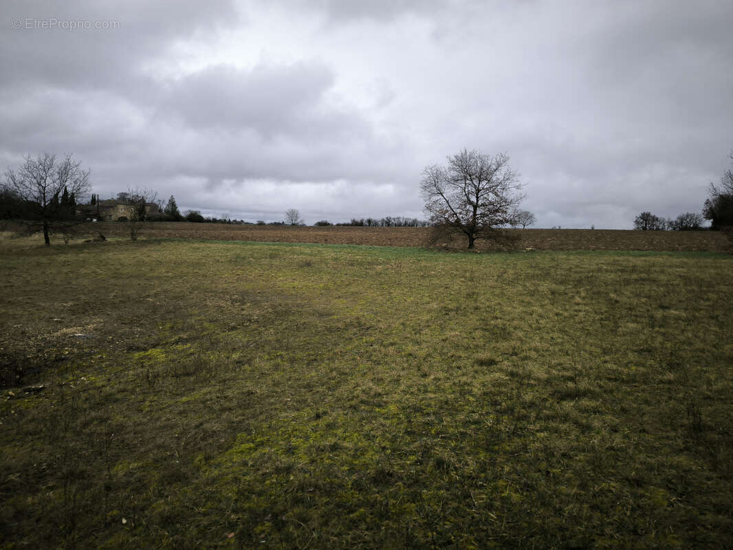 Terrain à LIVERS-CAZELLES