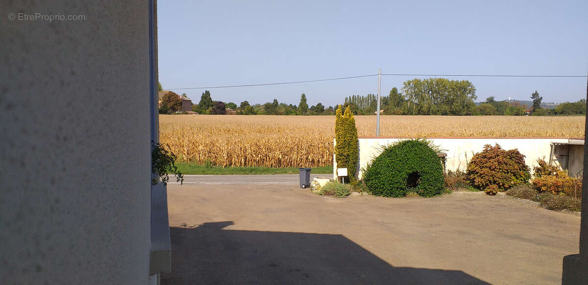 Maison à SAINT-NICOLAS-DE-LA-GRAVE