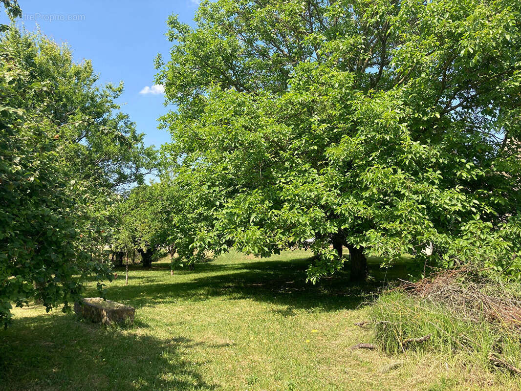 En exclusivite superbe terrain de plus de 2700m² - photo 5