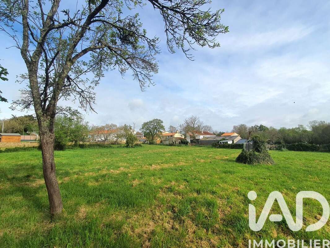 Photo 9 - Terrain à SAINT-VINCENT-SUR-GRAON