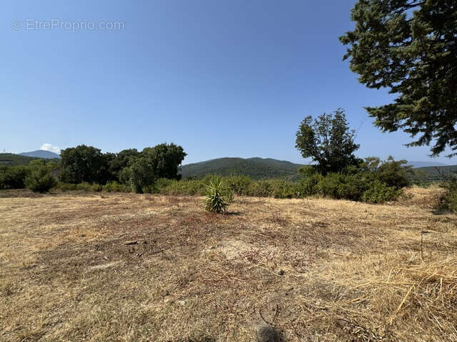 Maison Pieraggi   Terrain à bâtir de 1 839 m2 avec Permis de construire   129 000 € - photo 3