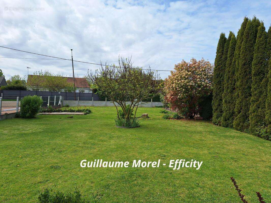 Terrain à EPOUVILLE