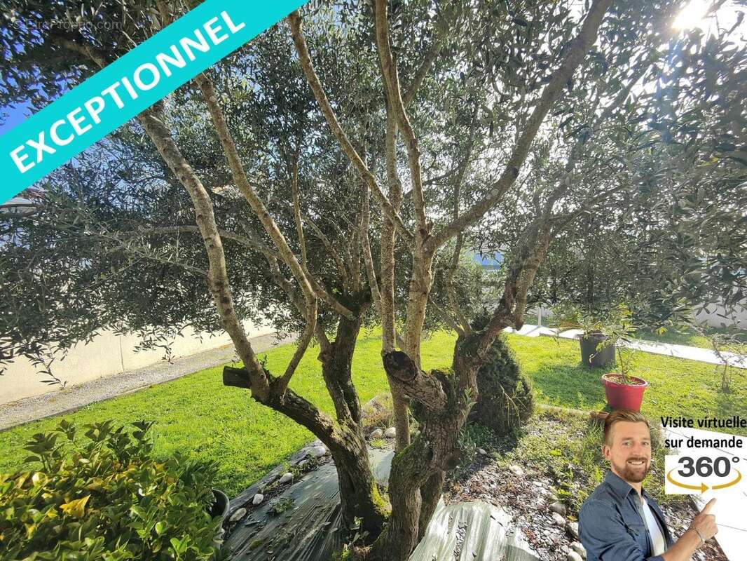 Photo 4 - Maison à SEYRESSE