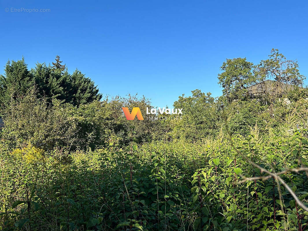 Terrain à NEUVES-MAISONS