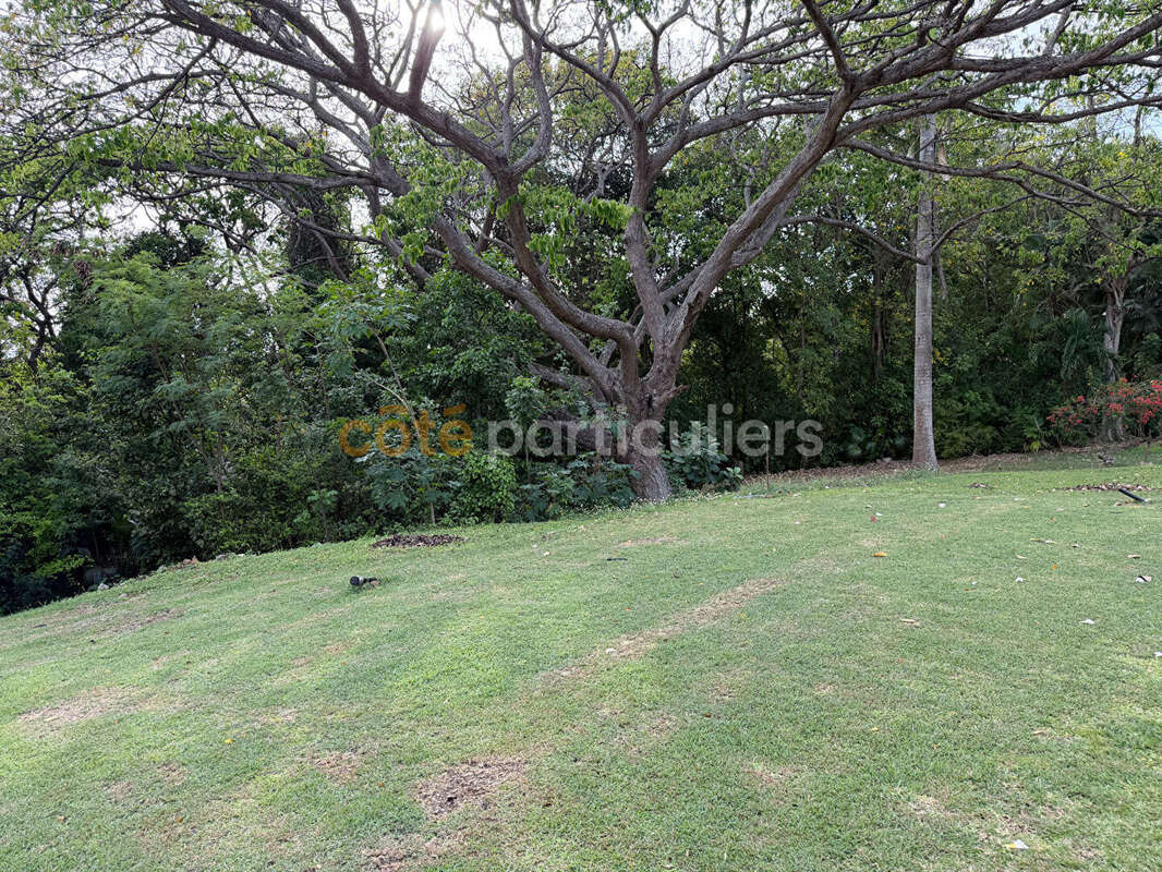 Propriete le moule terrain 9400m² - photo 8