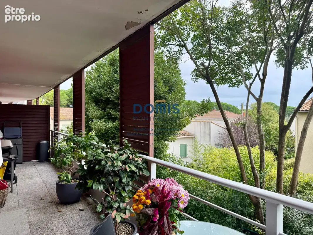 T3 calme et bien placé Castelnau - photo 2