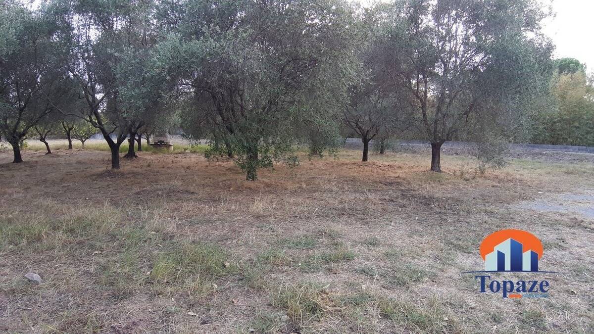 Terrain à PUGET-SUR-ARGENS