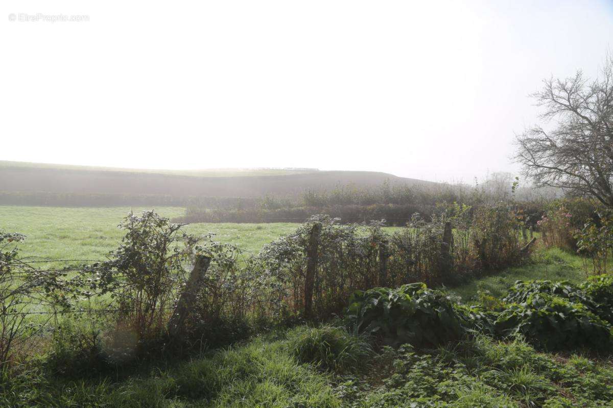 Maison à SAINT-DIDIER-SUR-ARROUX