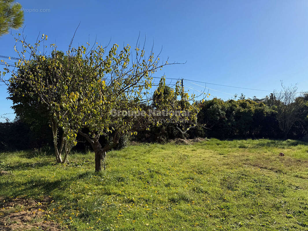 Terrain à CRUVIERS-LASCOURS