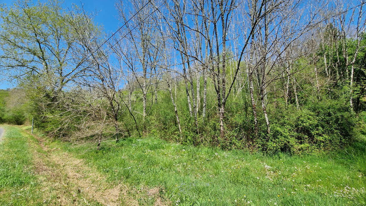 20250411_140805 - Terrain à SAINT-MARTIAL-DE-VALETTE