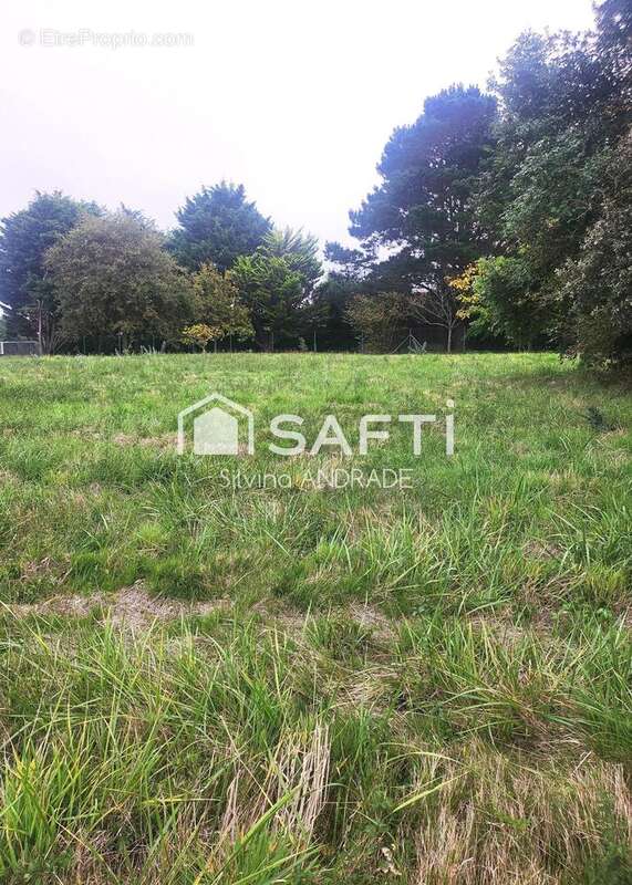 Photo 2 - Terrain à CHATEAU-D&#039;OLONNE