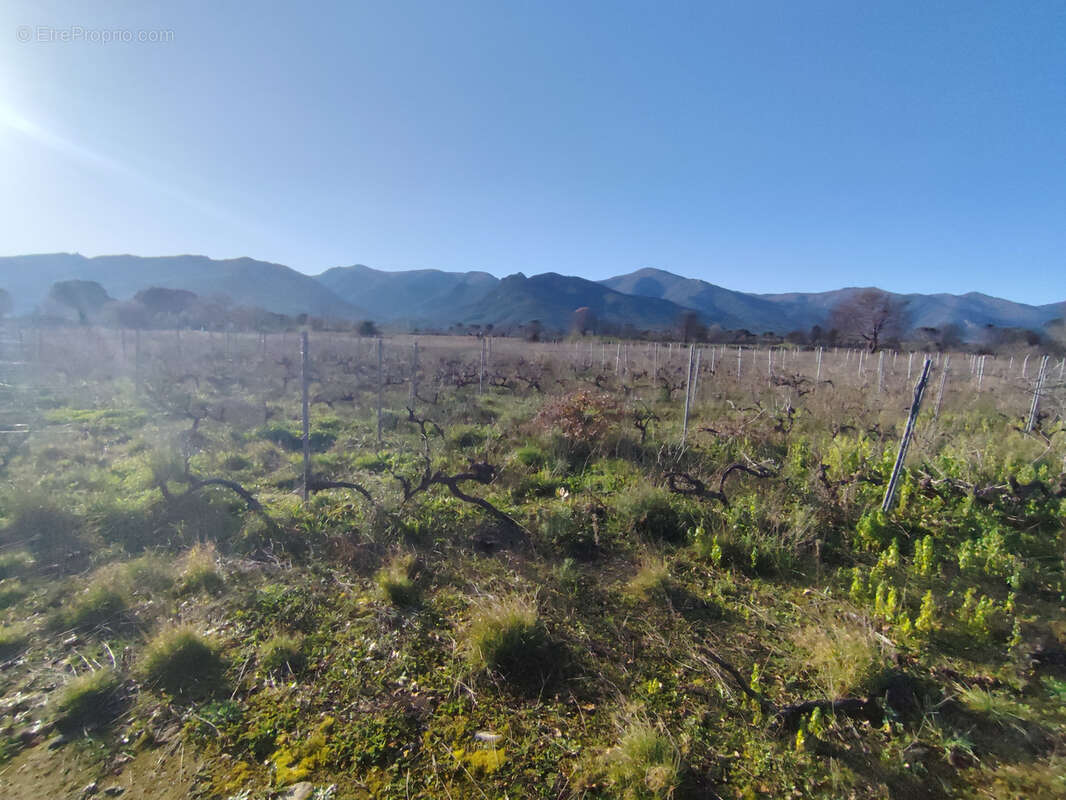 Terrain à SAINT-ANDRE
