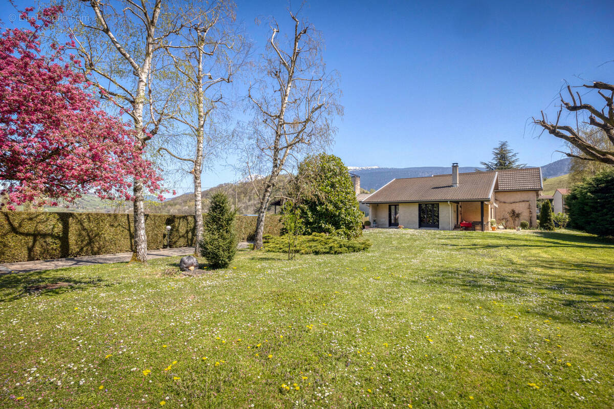 Maison à BRIE-ET-ANGONNES