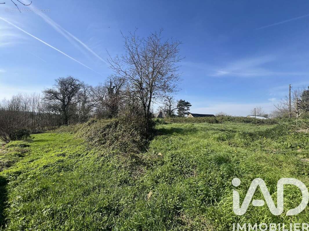 Maison 50 m² à Sainte-Gemmes-Le-Robert  - photo 3
