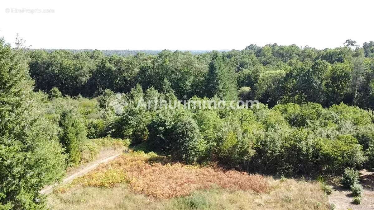 Terrain à bâtir 2921 m² - photo 7
